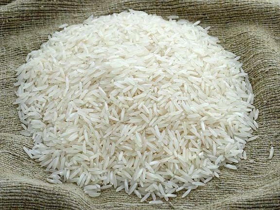 تاریخچه گیاه برنج