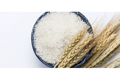 آخرین تحولات بازار برنج