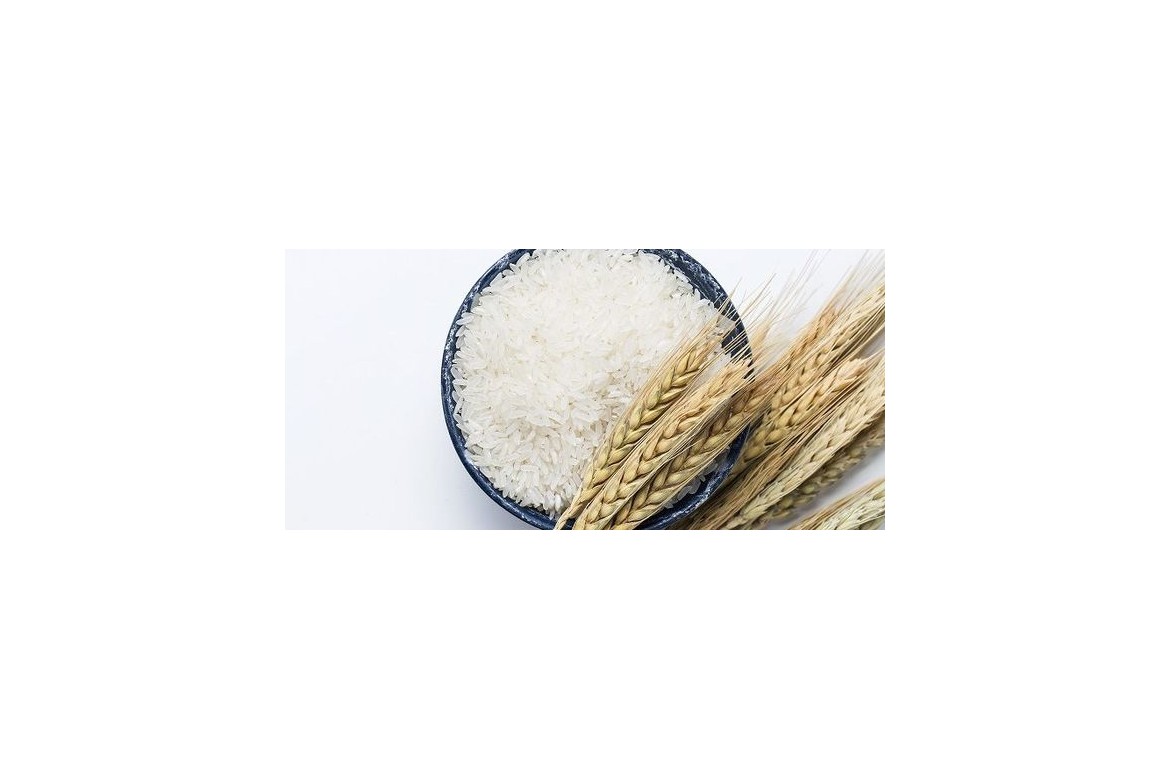 آخرین تحولات بازار برنج